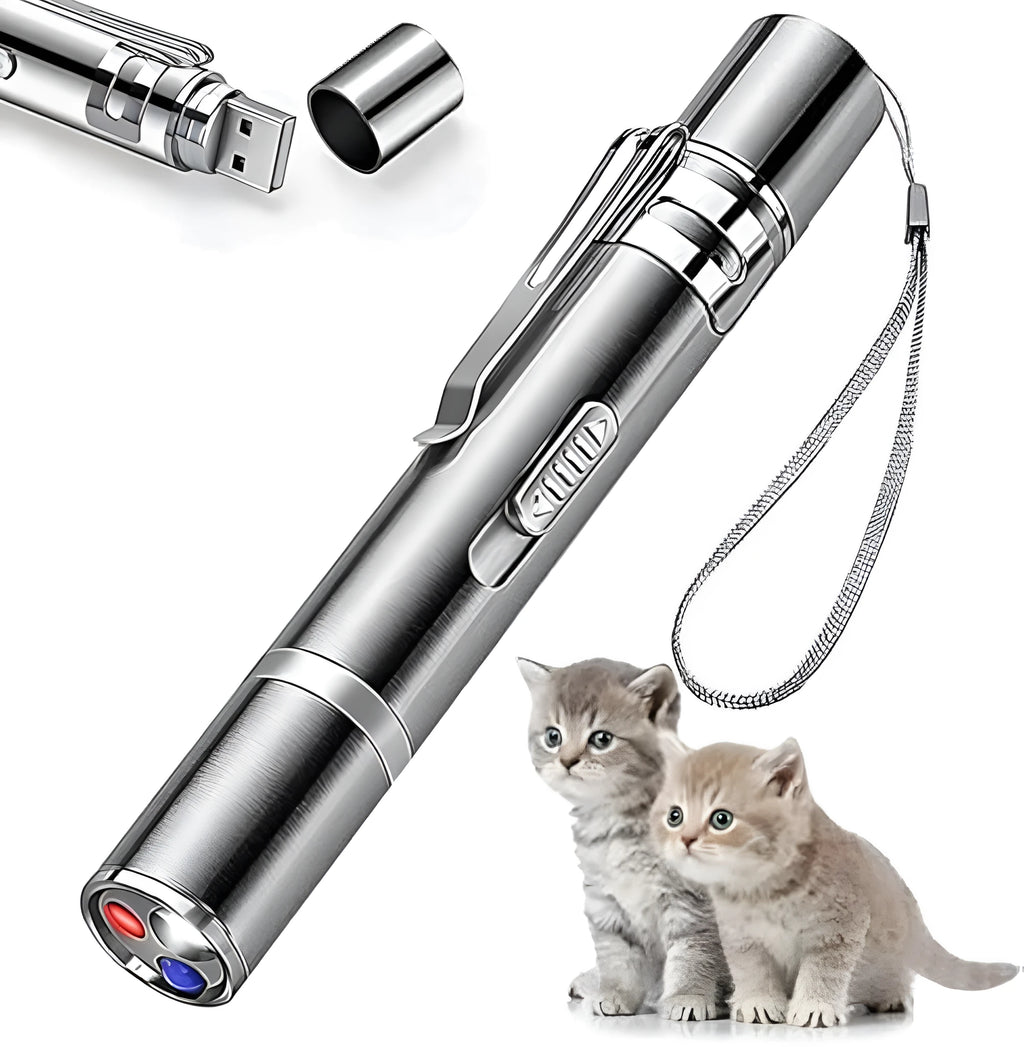 Silver aluminium alloy cat laser pointer wand showing pattern selection dial and USB charging port
