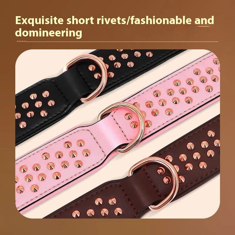Leather dog collar with metal rivet studs in chocolate colour, shown on a size label.