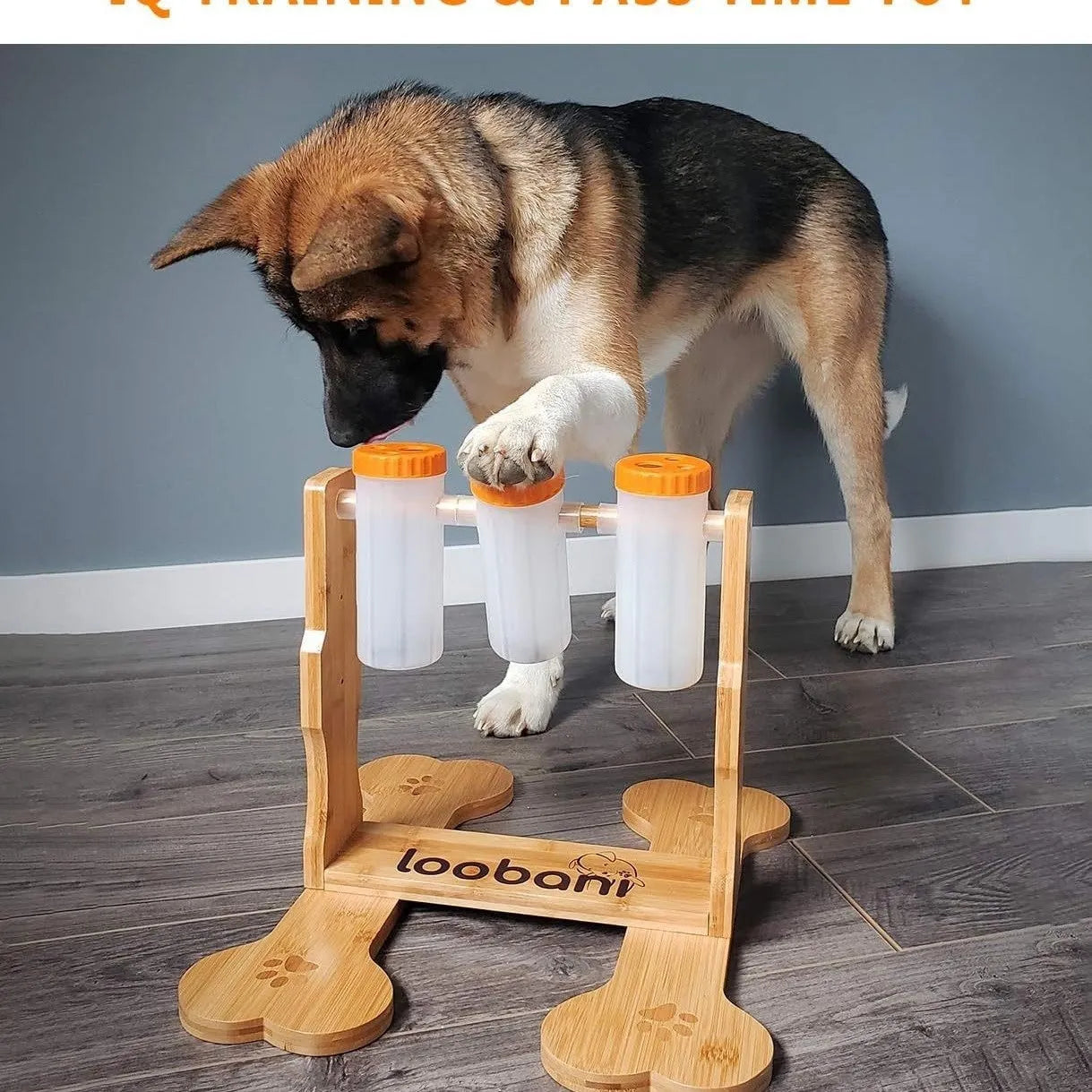 Wood colour wooden dog puzzle toy and interactive snack dispenser feeder