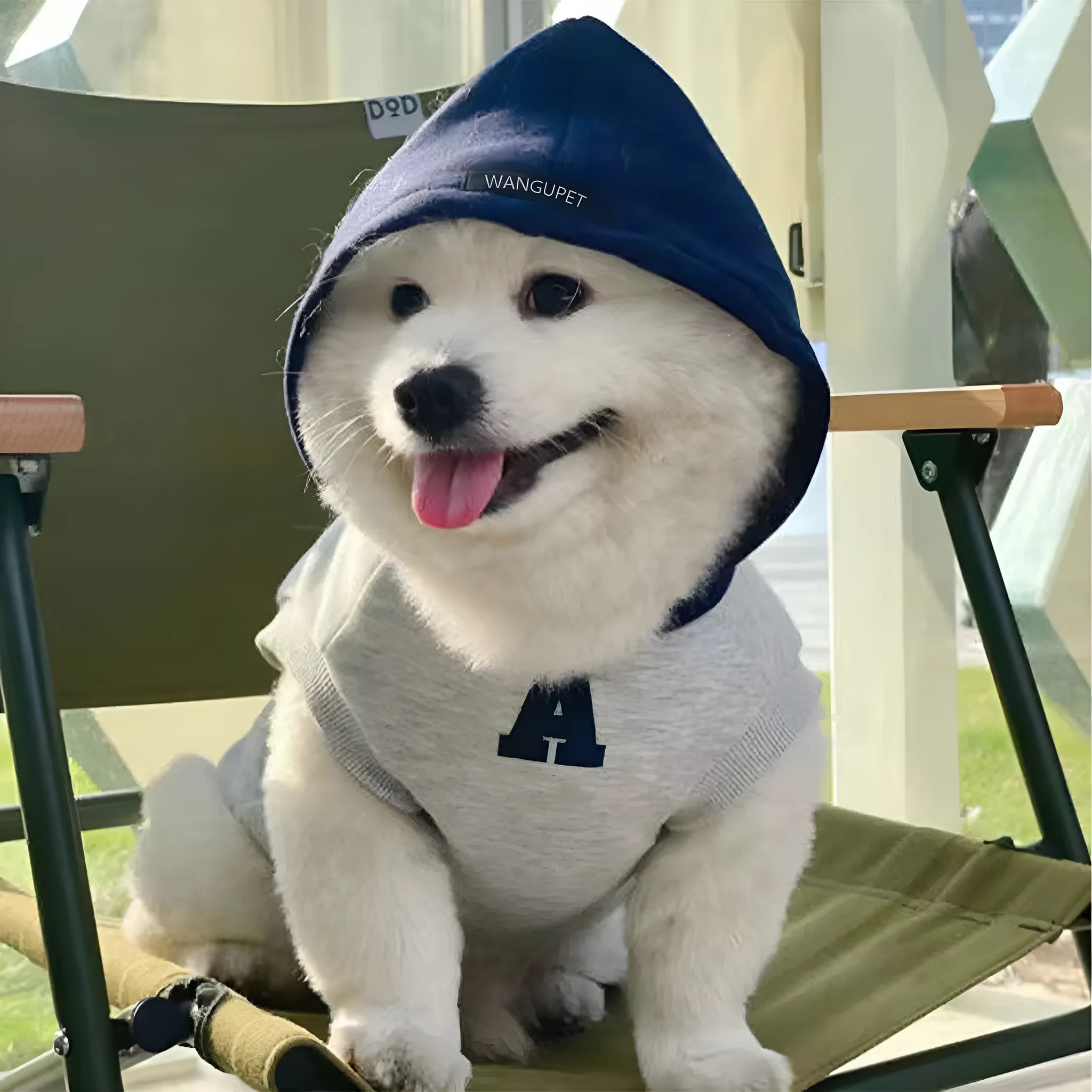 Blue pet sweater with reflective letters for a dog, showing slim-fitting design.