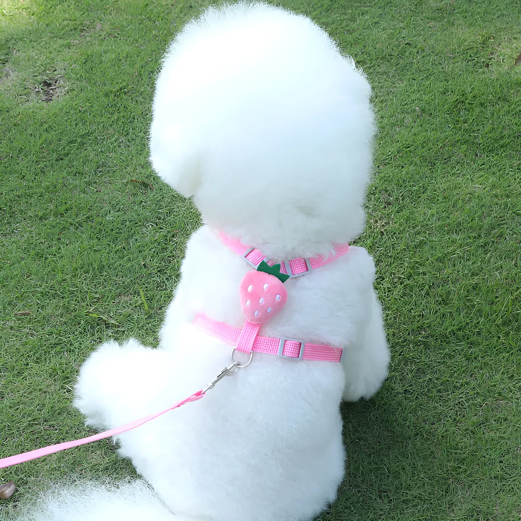Reflective vest-style dog harness with integrated lead for small dogs in polyester fabric