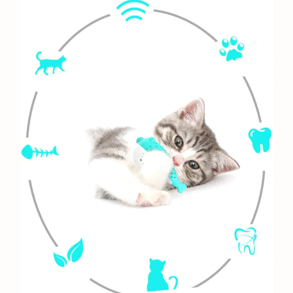 Blue silicone fish-shaped chew toy for cats on a plain background