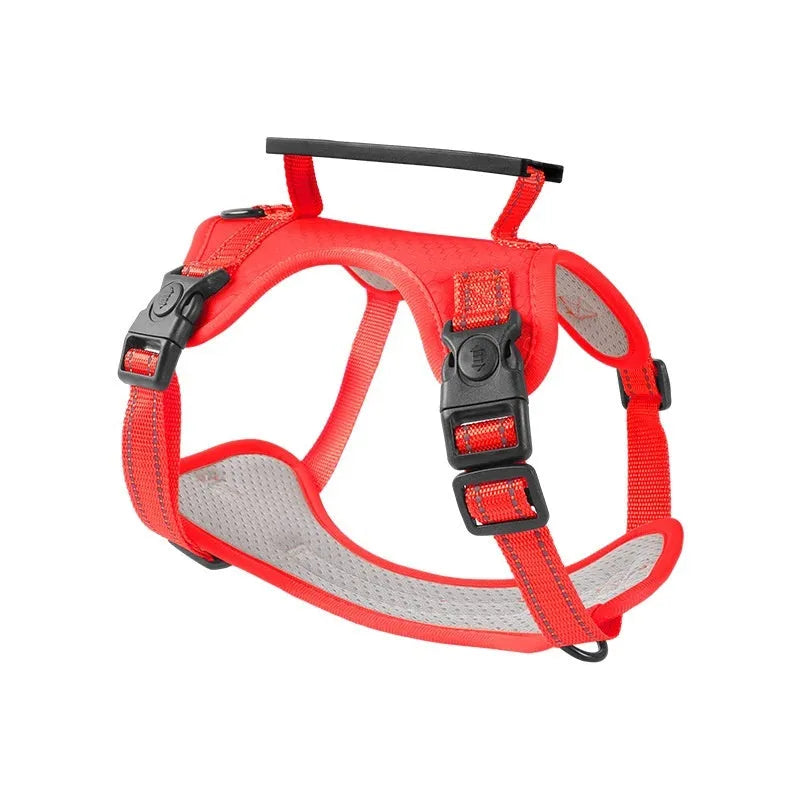 Polyester dog chest harness and lead set in multiple colours including Lake Blue, pink, and yellow