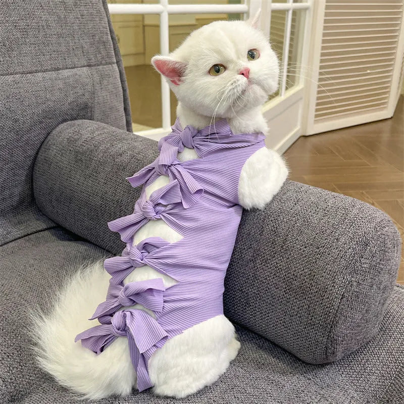 Lace-up polyester cat sterilisation recovery clothing shown in blue on a mannequin.