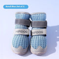 Cartoon style dog shoes in Bondi Blue colour showing breathable summer design with weight-based sizing
