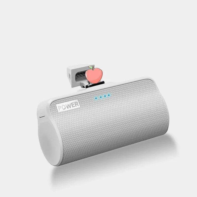 Universal power bank with ABS plastic casing and 3000mAh polymer lithium ion battery capacity