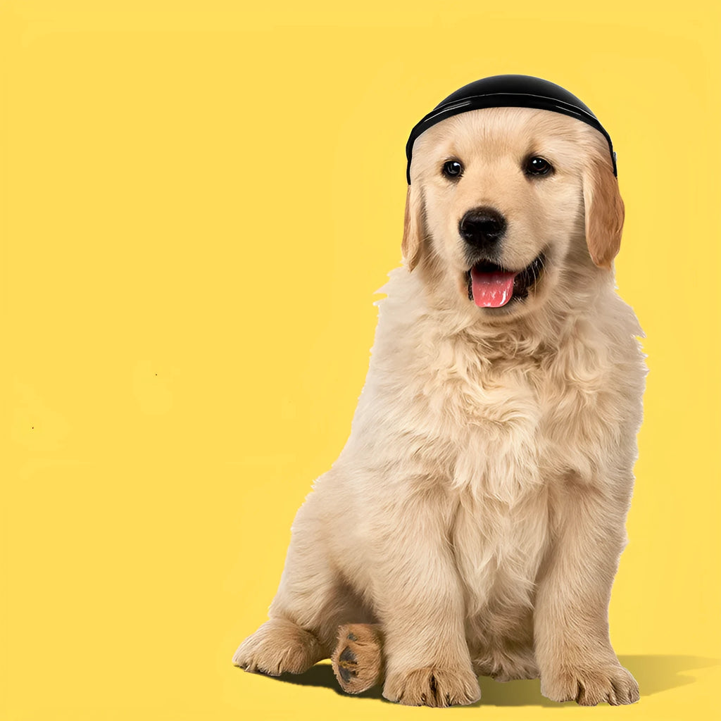 S size plastic pet helmet for motorcycle safety in four colour options