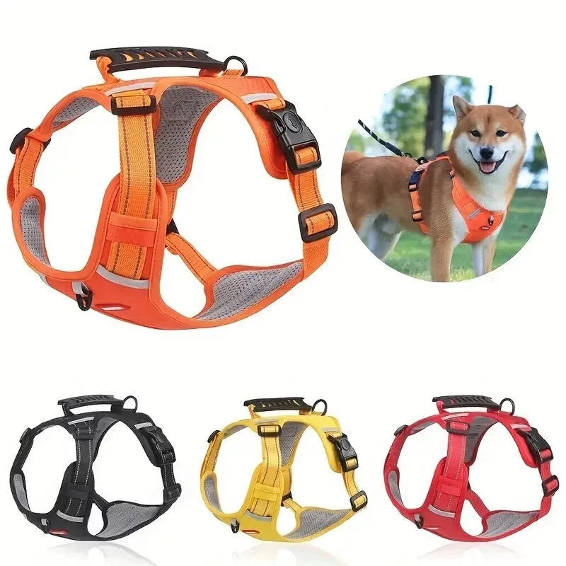 Polyester dog chest harness and lead set in multiple colours including Lake Blue, pink, and yellow
