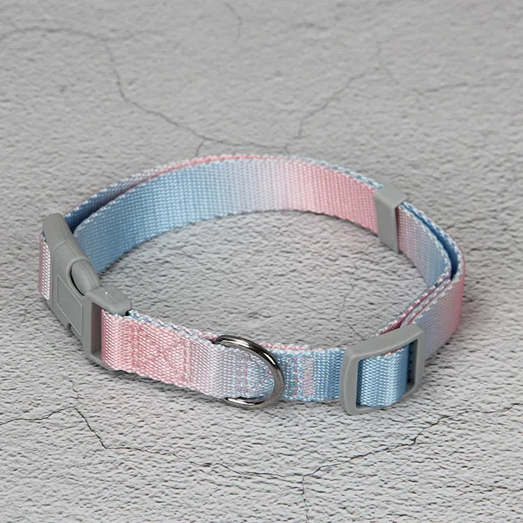 Nylon dog leash and collar set showing pink and blue gradient colour option.