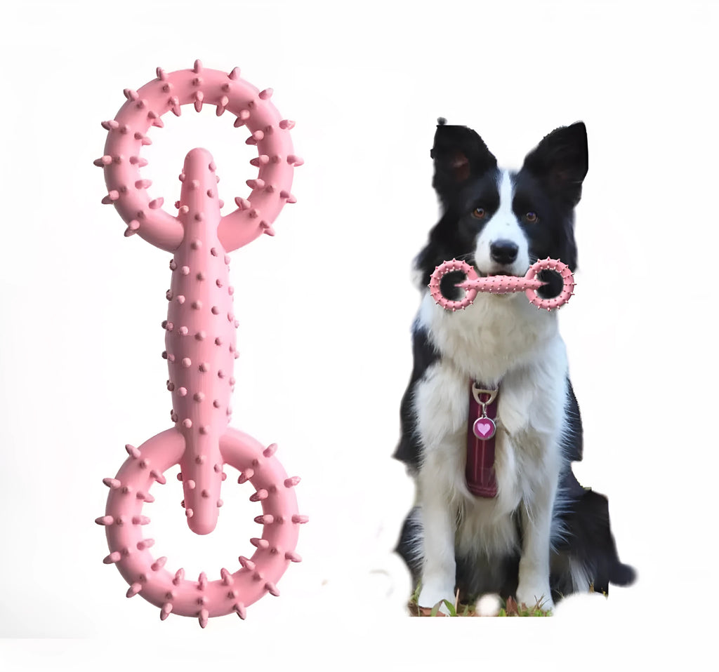 Blue TPR dog chew toy ring for puppy teething on white background