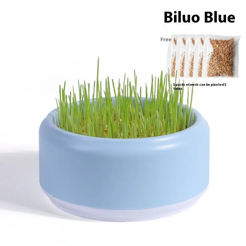 Hydroponic cat grass kit with soilless seeds in plastic growing cup