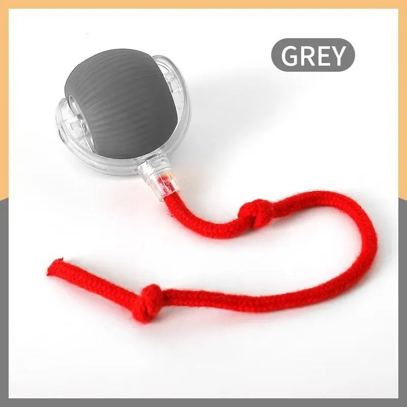Silicone rolling ball cat toy in red, green, or grey colours, some variants with an attached rope.