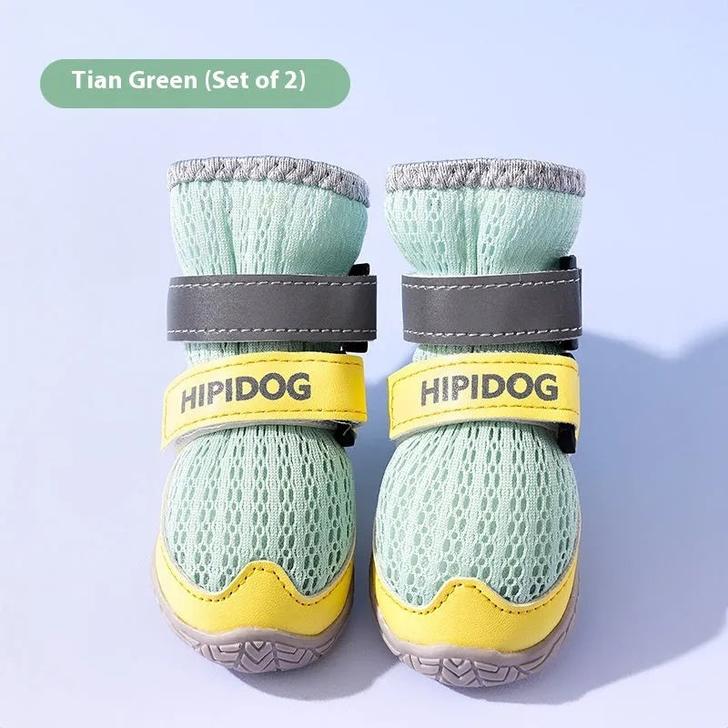 Cartoon style dog shoes in Bondi Blue colour showing breathable summer design with weight-based sizing