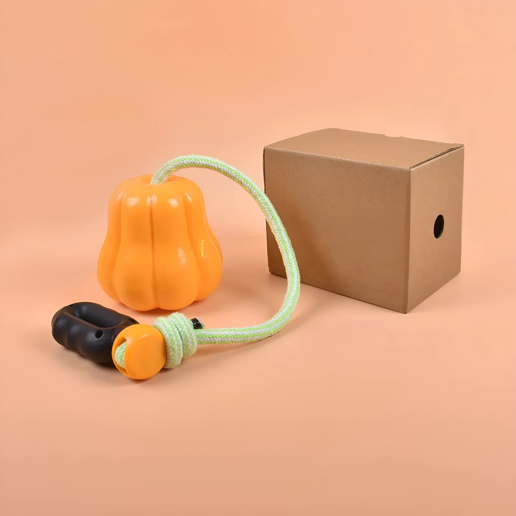 Pumpkin orange plastic dog chew toy with attached rope for tugging and fetching.