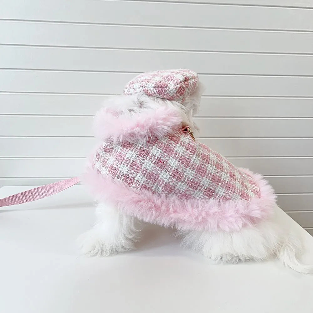 Pink cat wearing a beret and a cloak with a hand holding rope attached.
