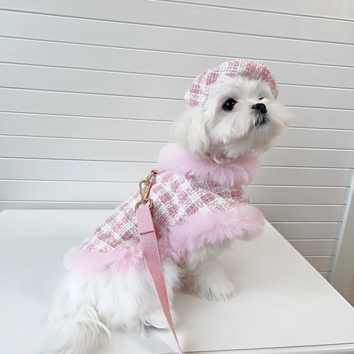 Pink cat wearing a beret and a cloak with a hand holding rope attached.