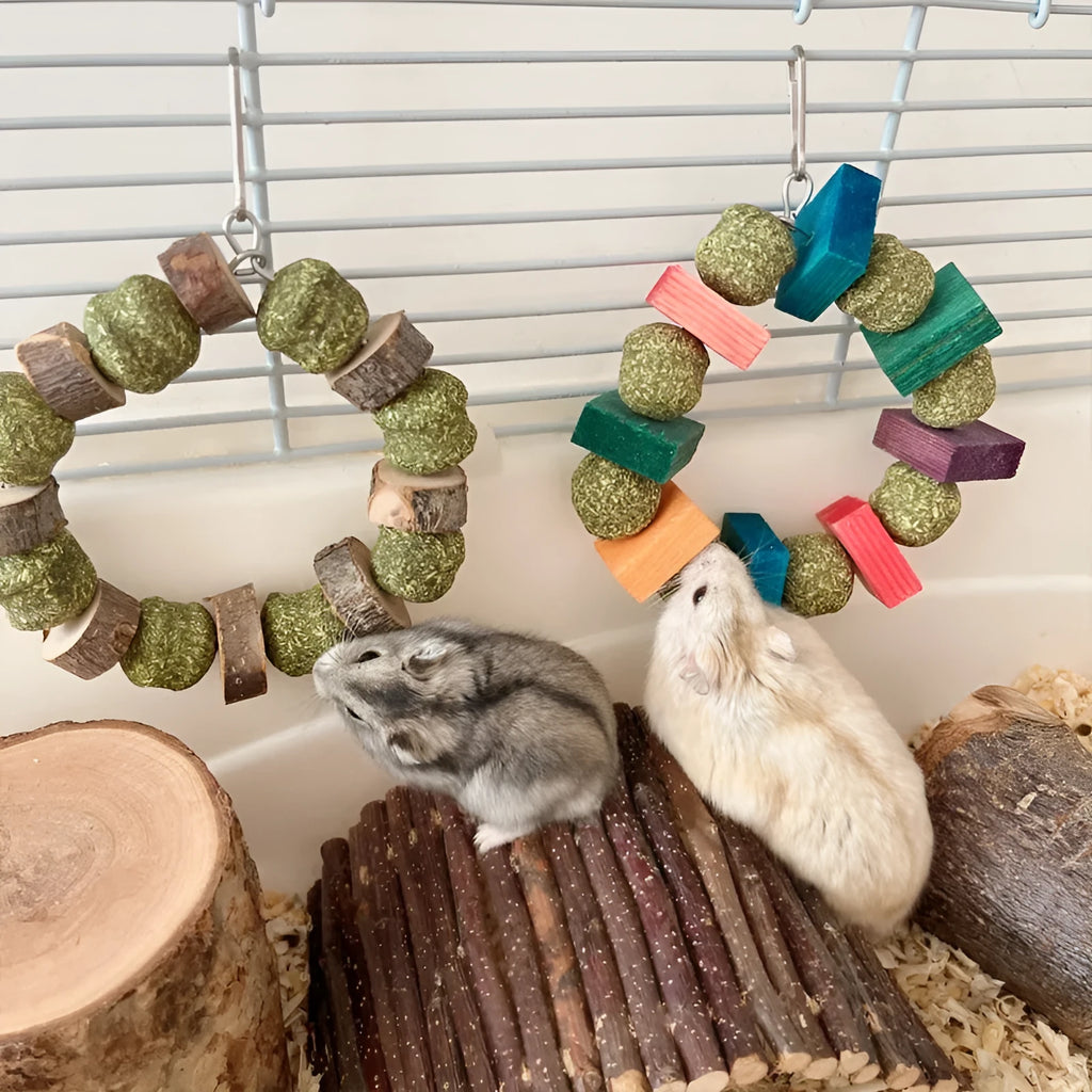 Decorative straw ball ring chew toy made from applewood for hamsters and small pets.