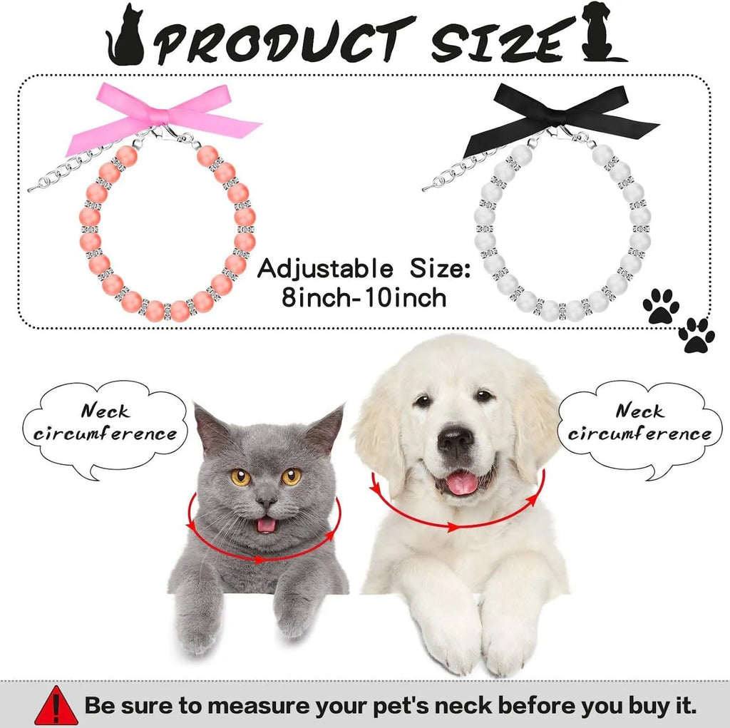 Small dog wearing blue pearl and rhinestone necklace with ribbon bow