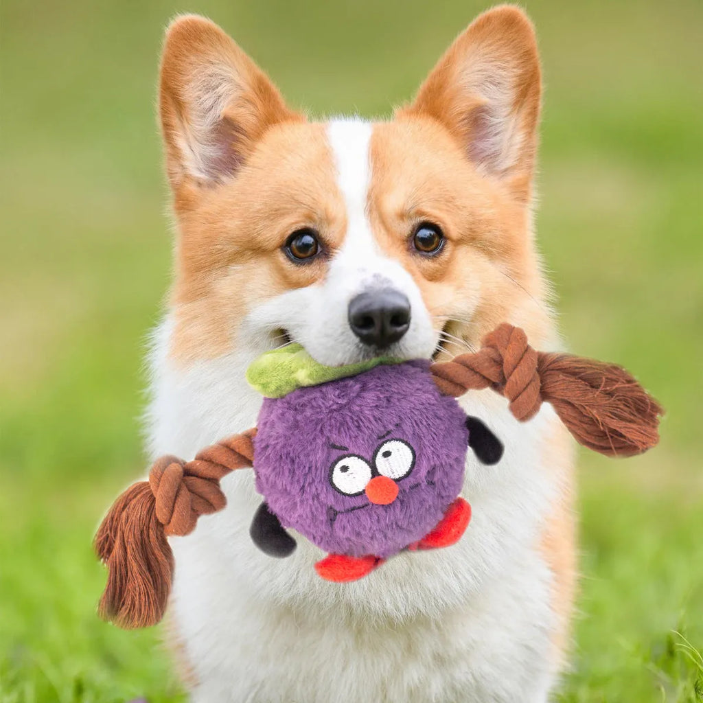 Green and purple interactive dog toy with plush rope knot design and molar tooth texture for tug-of-war games