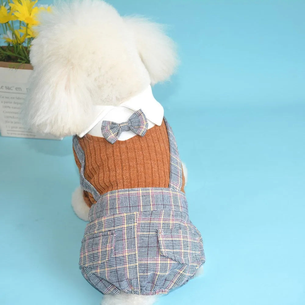 Orange cotton dog suit shirt with collar and buttons on a small dog