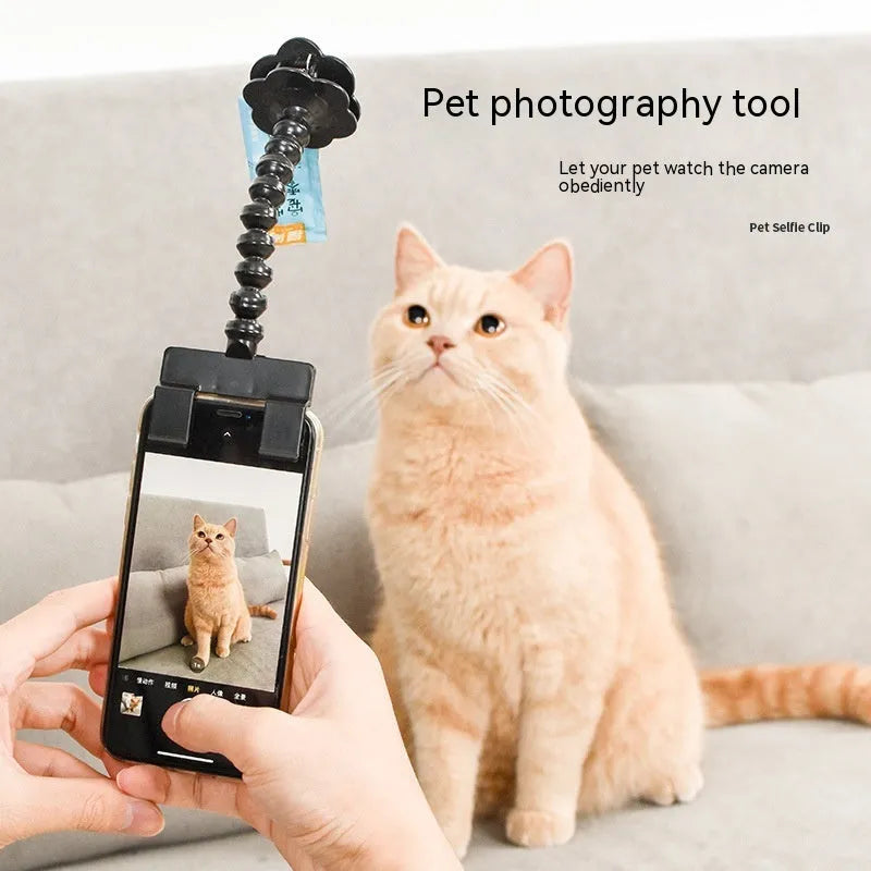 Black and white pet photography phone holder with snack grip and 360-degree rotation