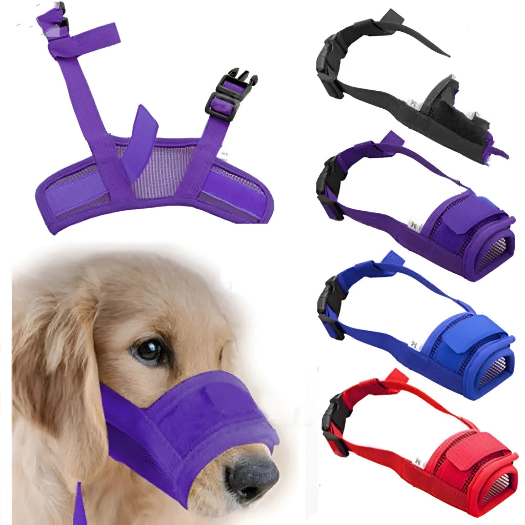 Adjustable plastic dog muzzle in various colours showing snout coverage and head strap attachment