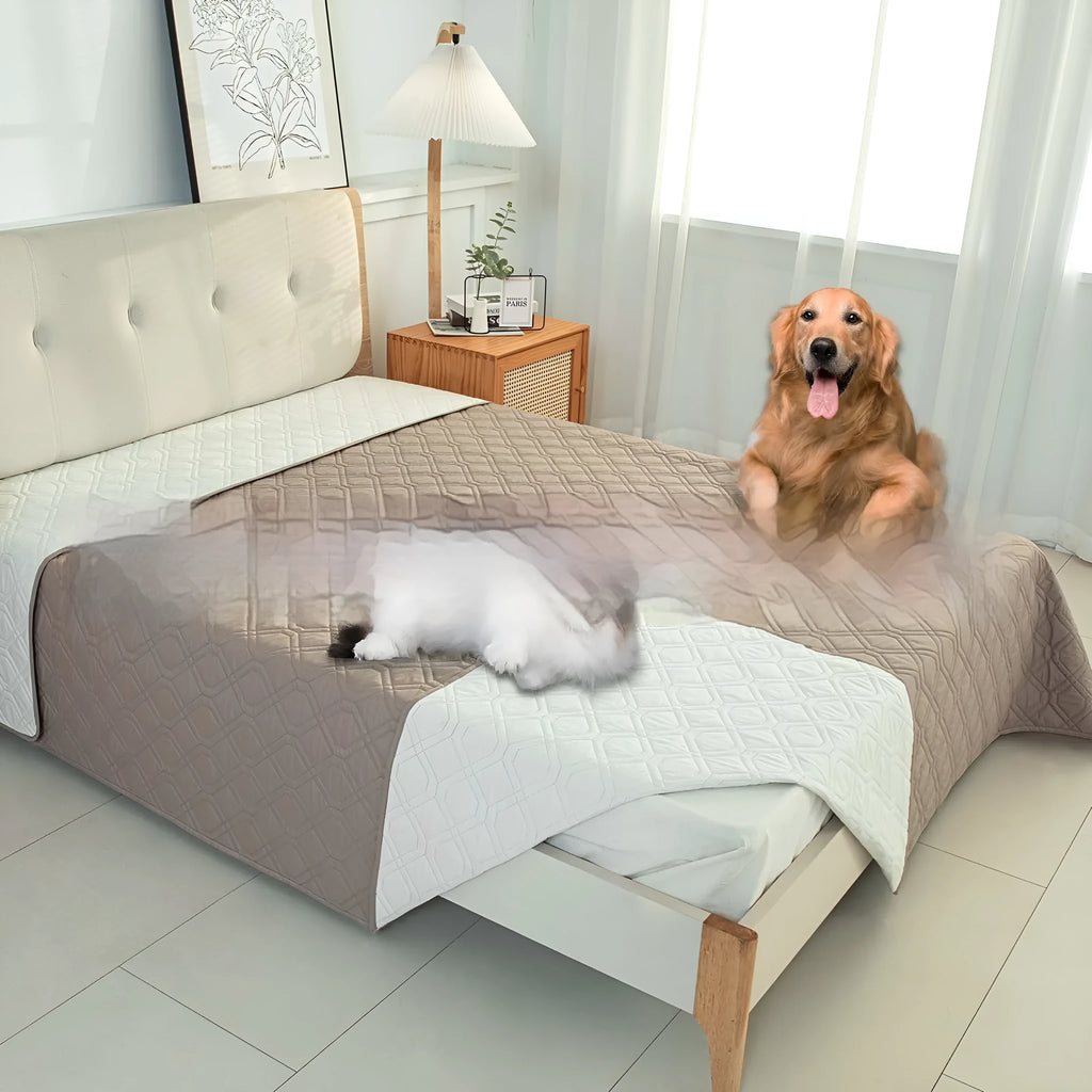 Reversible dark grey and light grey waterproof dog sofa cushion on a leather sofa