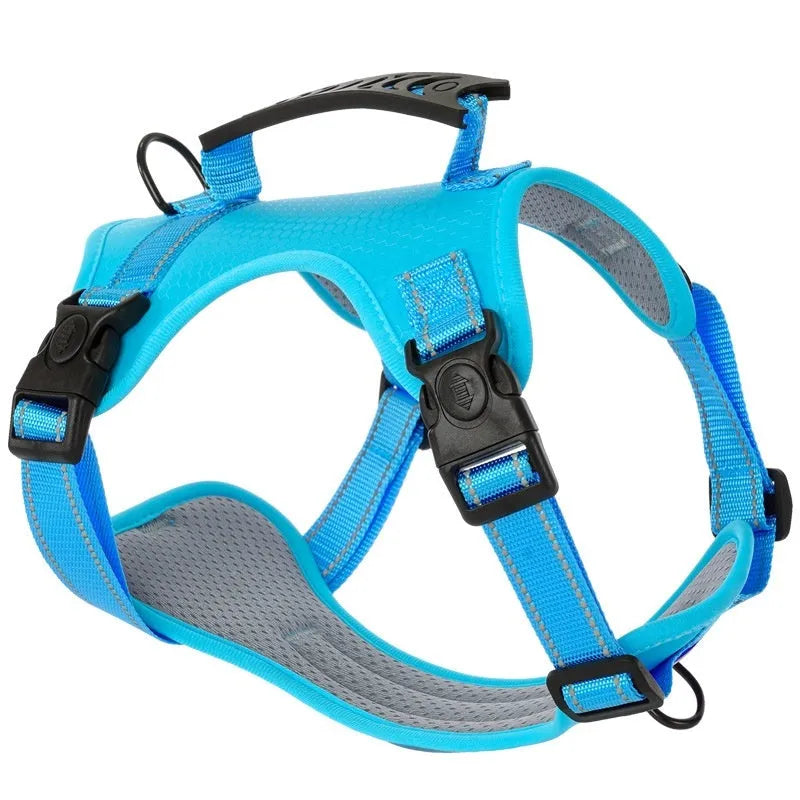Polyester dog chest harness and lead set in multiple colours including Lake Blue, pink, and yellow