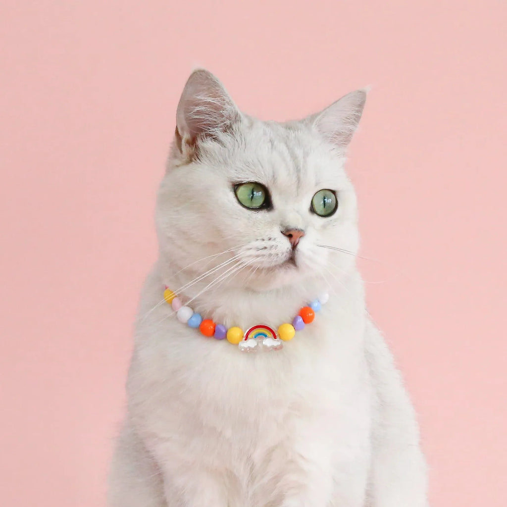 Colourful plastic pearl pet necklace for cats with small flower bead design and adjustable sizing