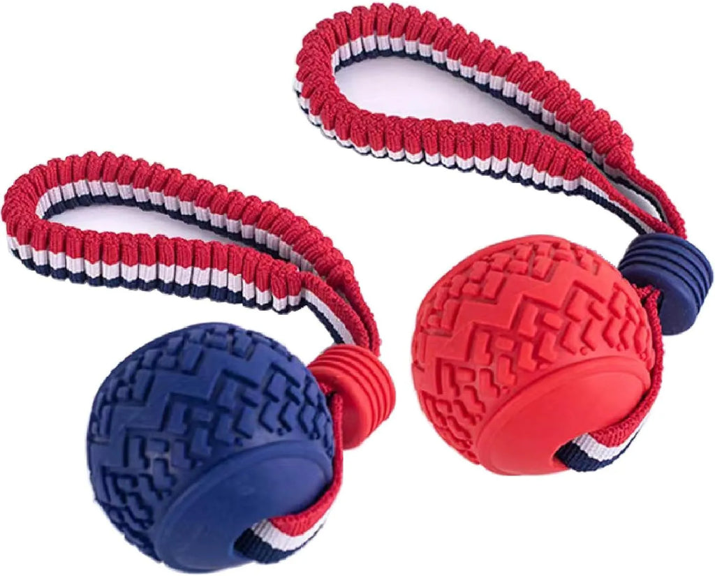 Blue dog ball with rope toy showing textured rubber surface and rope attachment for small breed dogs