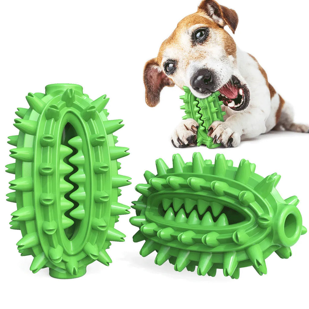 Green durable cactus-shaped dog toothbrush chew toy for aggressive chewing and dental care.