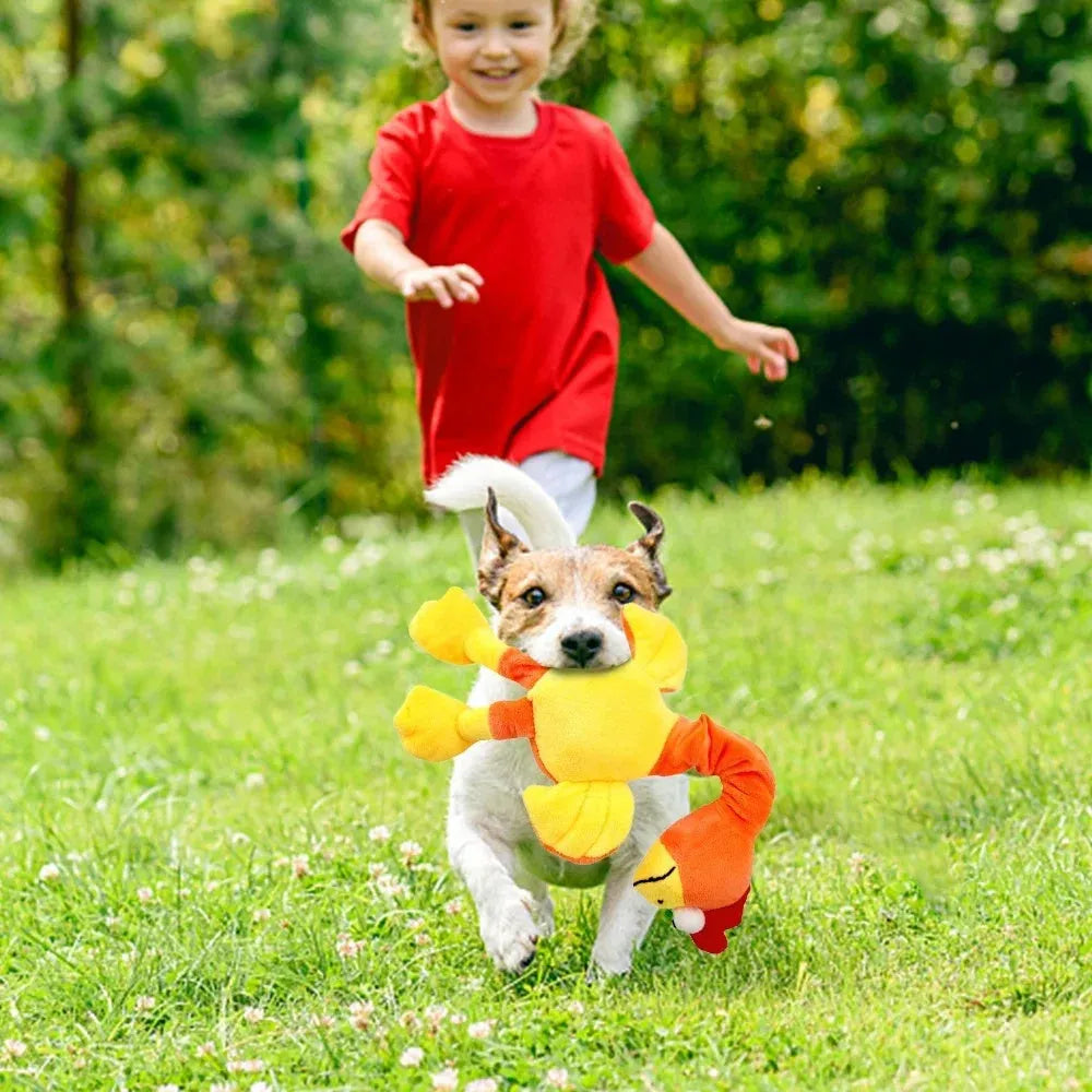 Screaming chicken sound dog chew toy in bite-resistant material, shown in black, green, and orange.