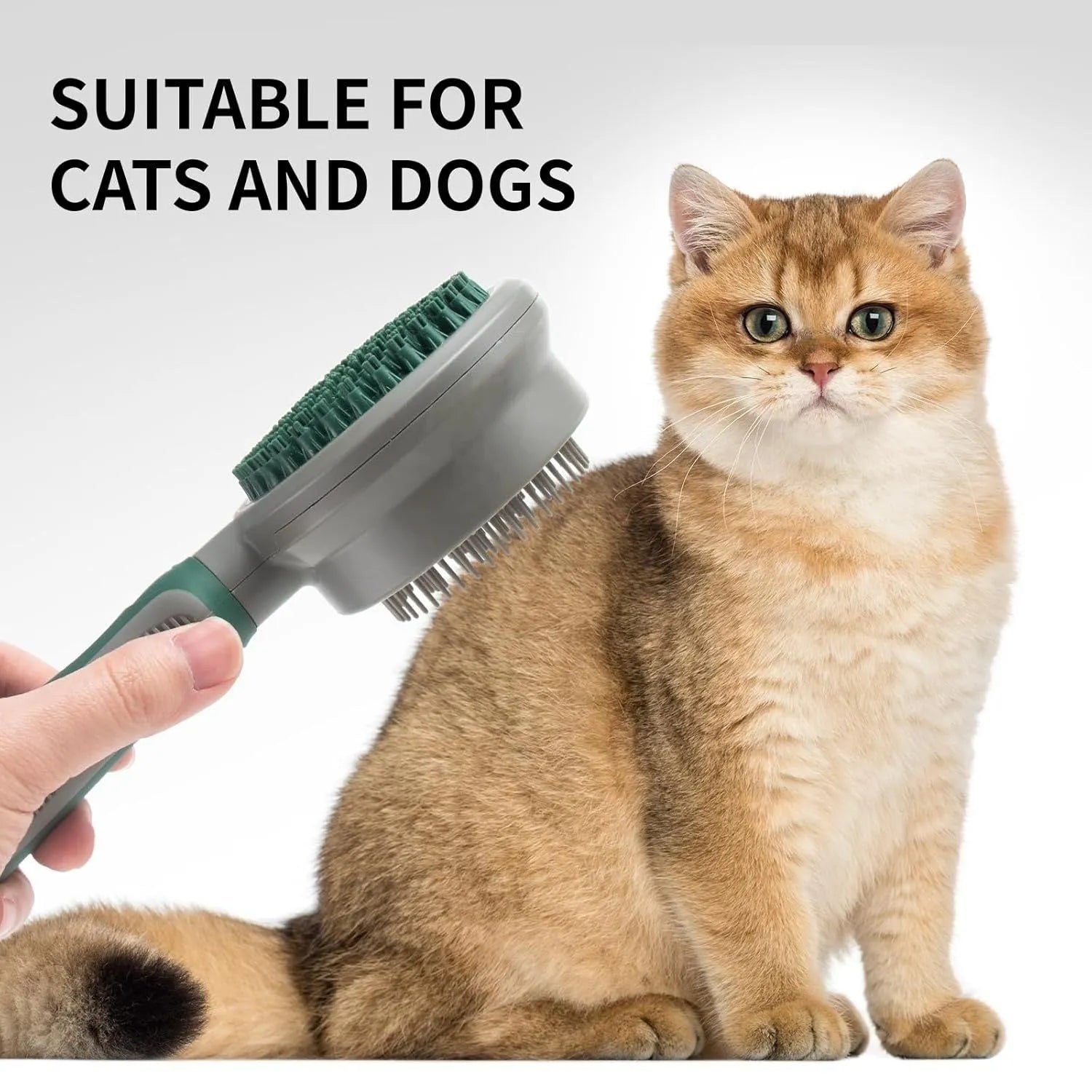 Green and pink dual-sided pet grooming brush with retractable slicker brush and silicone massager pins