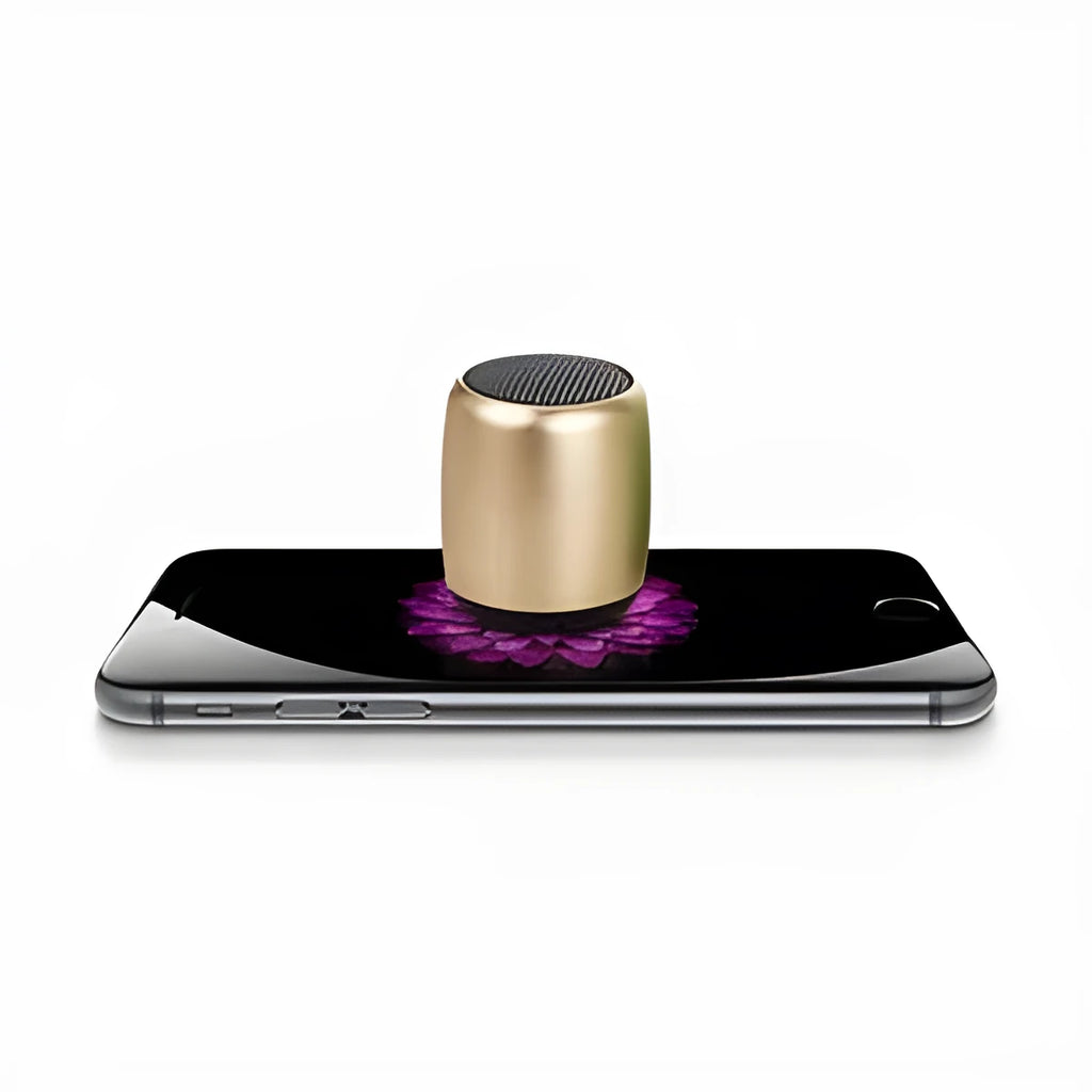 A small portable Bluetooth speaker shown in one of four colour options: black, blue, gold, or pink.