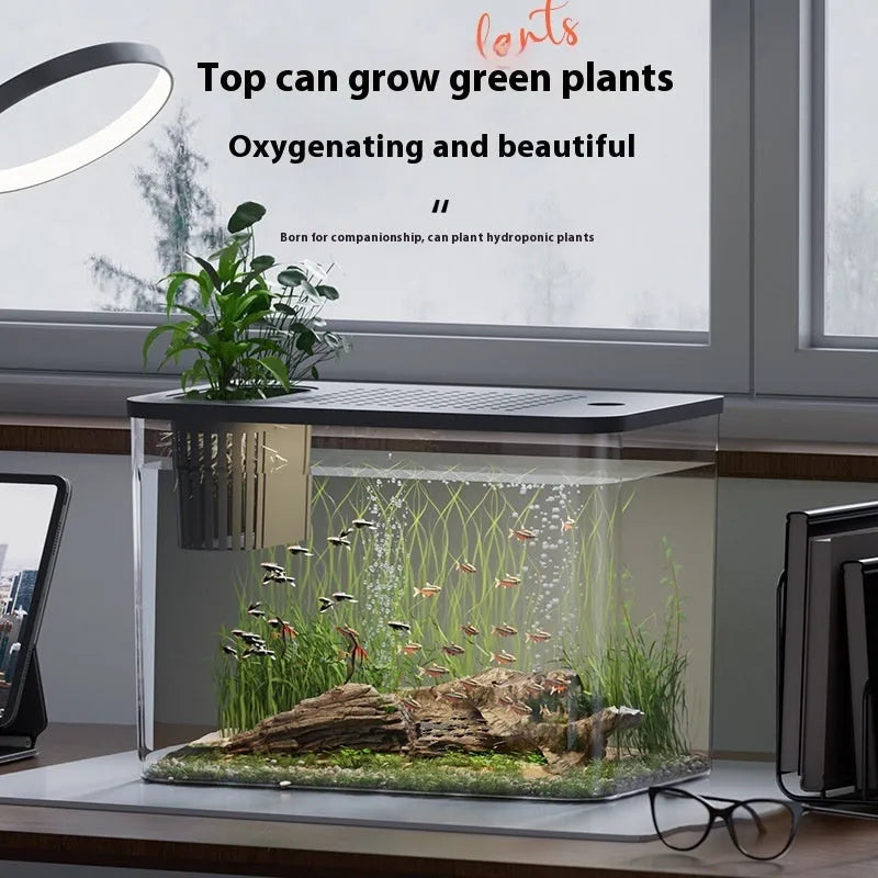Medium plastic betta fish tank with cover in black or white colour option