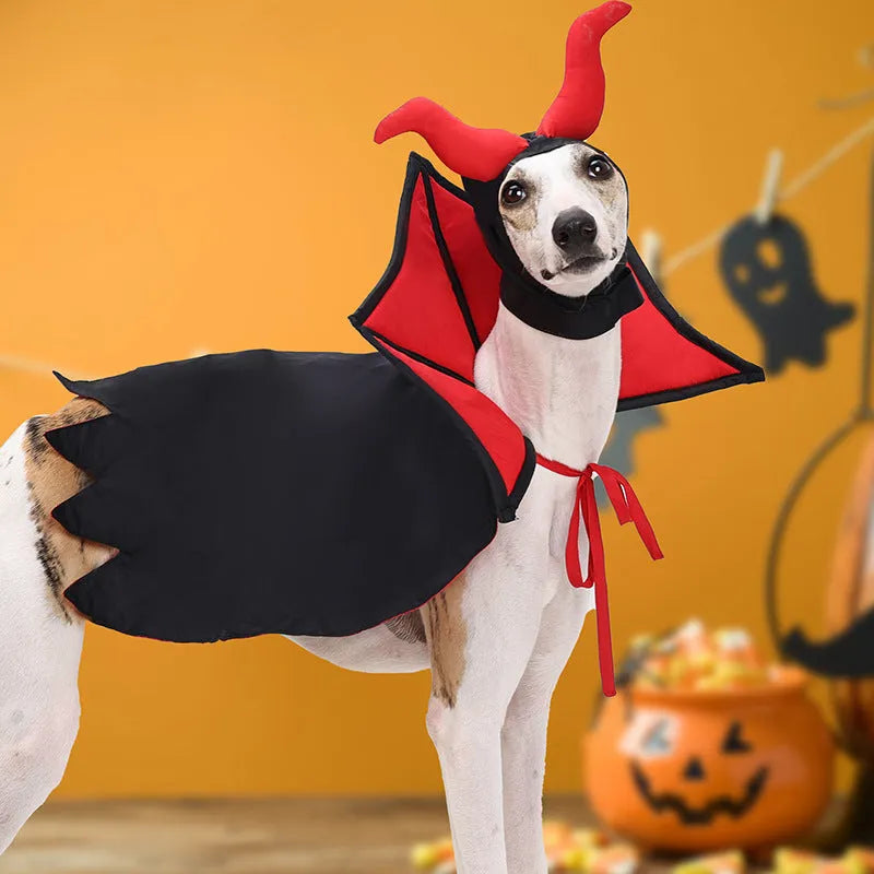 Black polyester vampire cloak and hat Halloween costume for pets on a white background