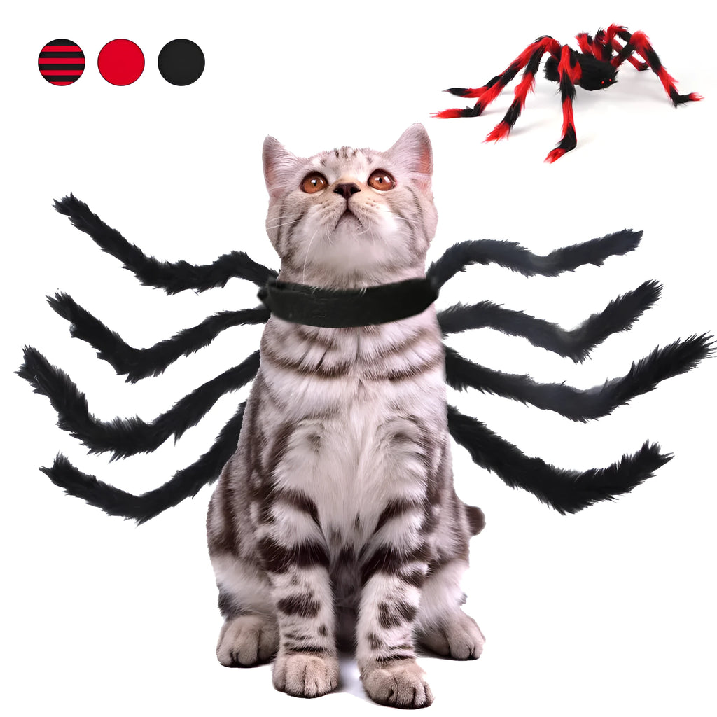 Pet cat dog Halloween creative spider costume in red black cotton fabric on a small dog