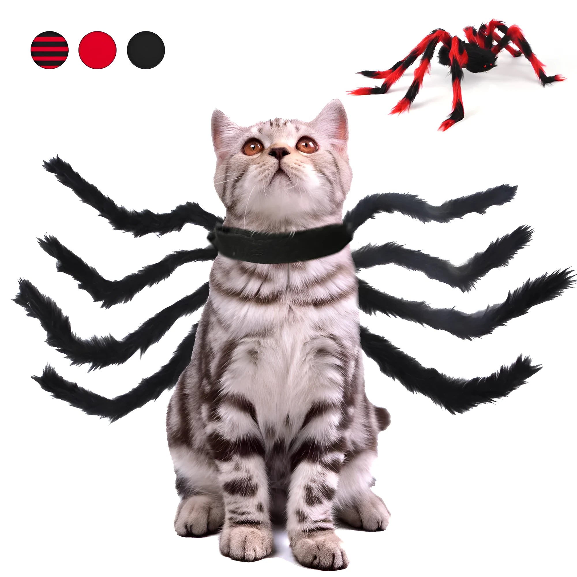 Pet cat dog Halloween creative spider costume in red black cotton fabric on a small dog