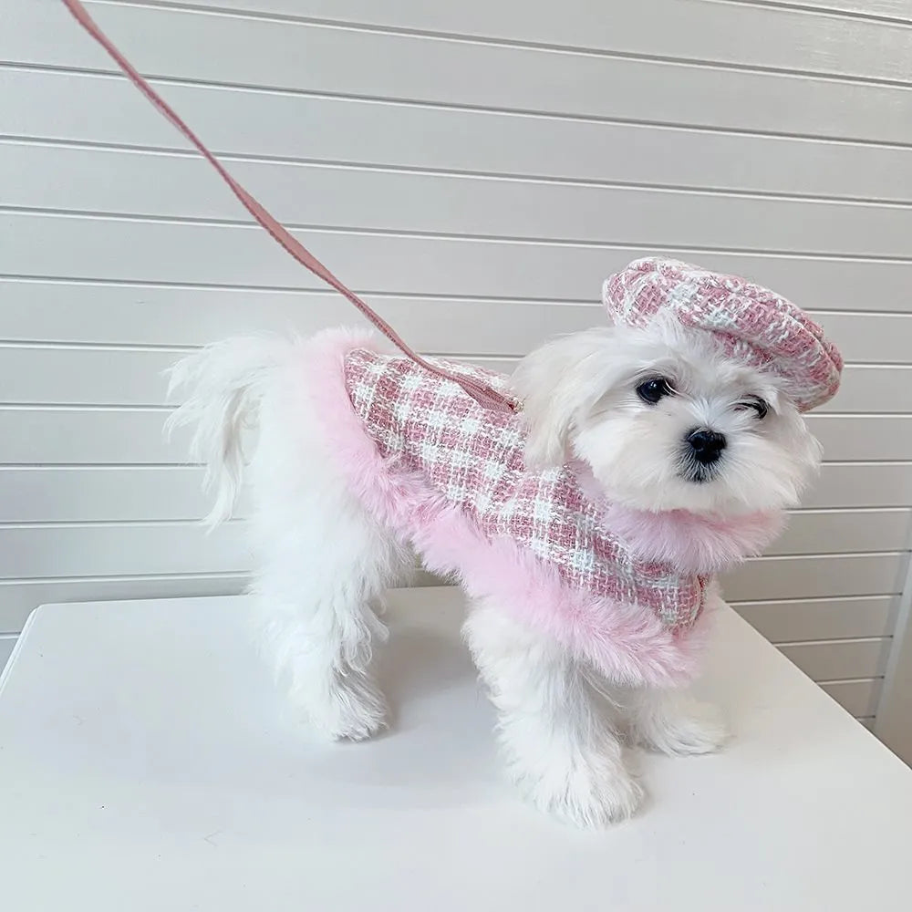 Pink cat wearing a beret and a cloak with a hand holding rope attached.