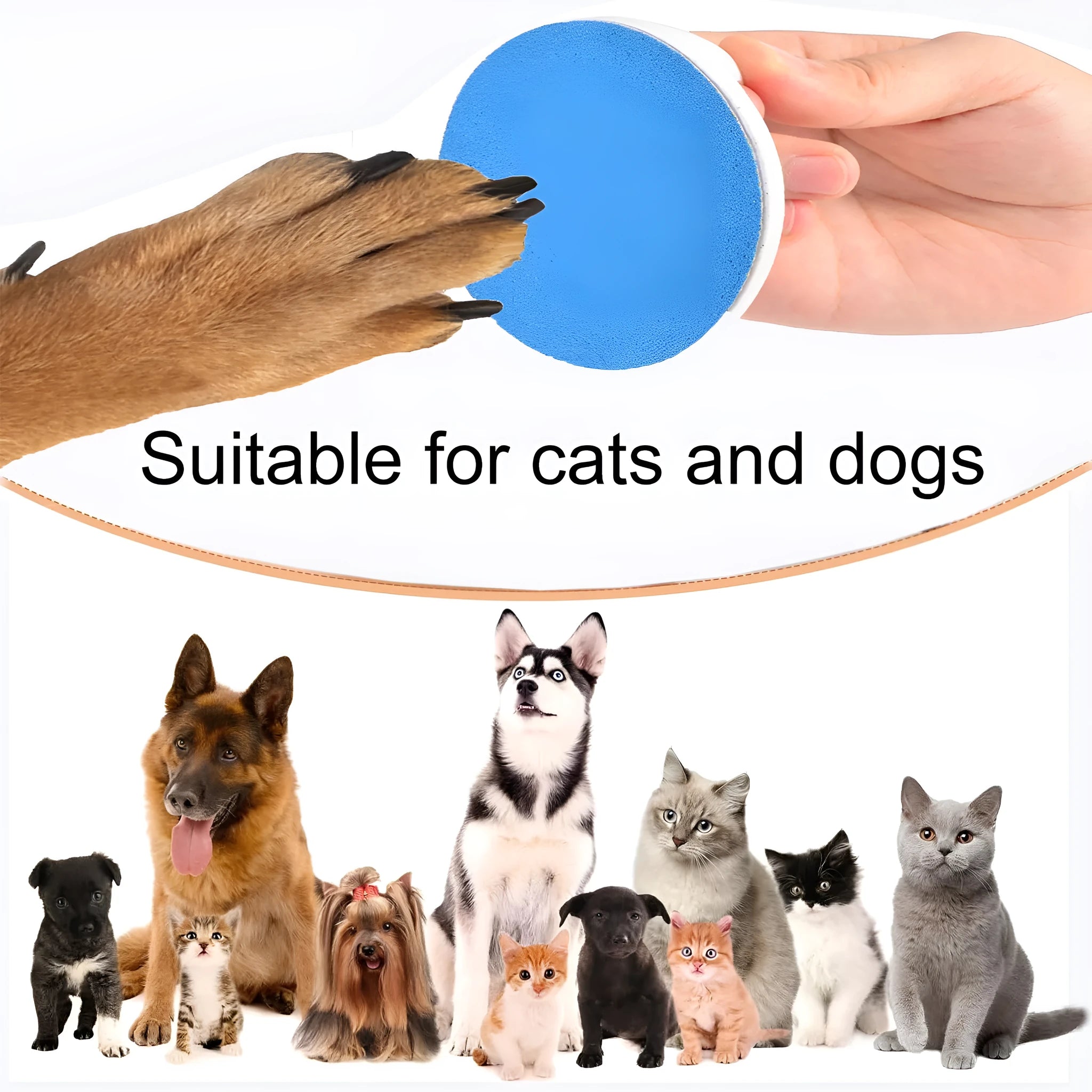 Upgraded dog nail file scratch board with ergonomic handle, shown in blue colour.
