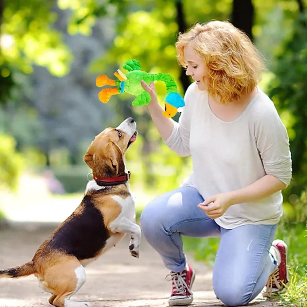 Screaming chicken sound dog chew toy in bite-resistant material, shown in black, green, and orange.