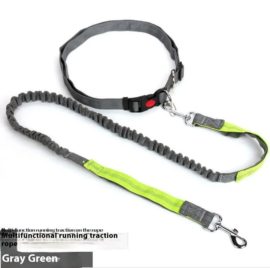 Grey and green elastic dog leash with reflective elements for night visibility during outdoor running