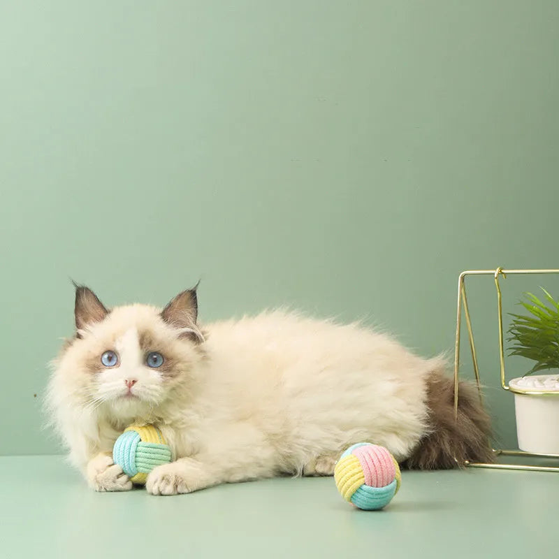 Handmade cat hair ball plush toy measuring 5cm with cotton ball construction