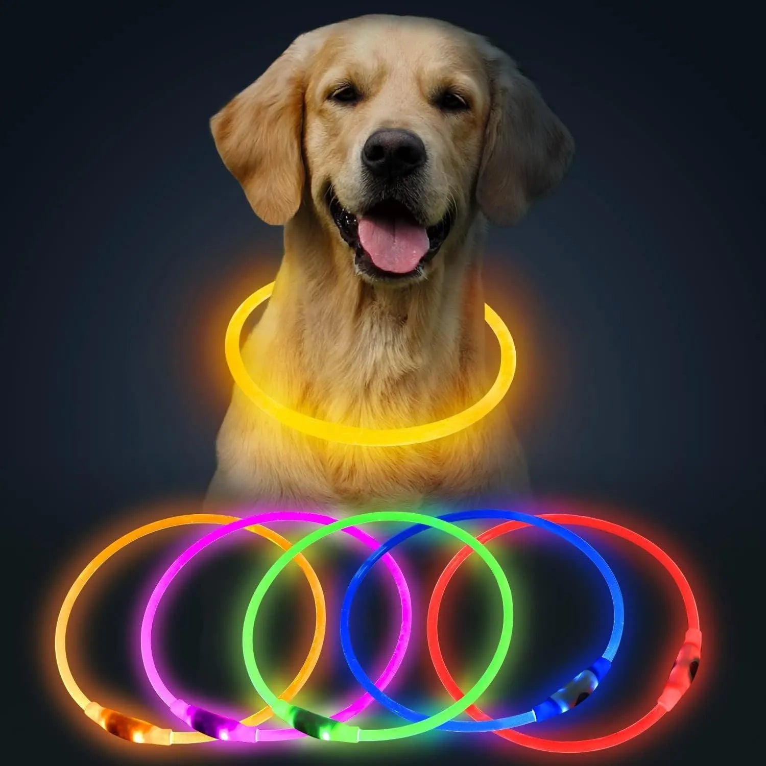 Blue USB rechargeable LED dog collar glowing around a dog's neck at night.