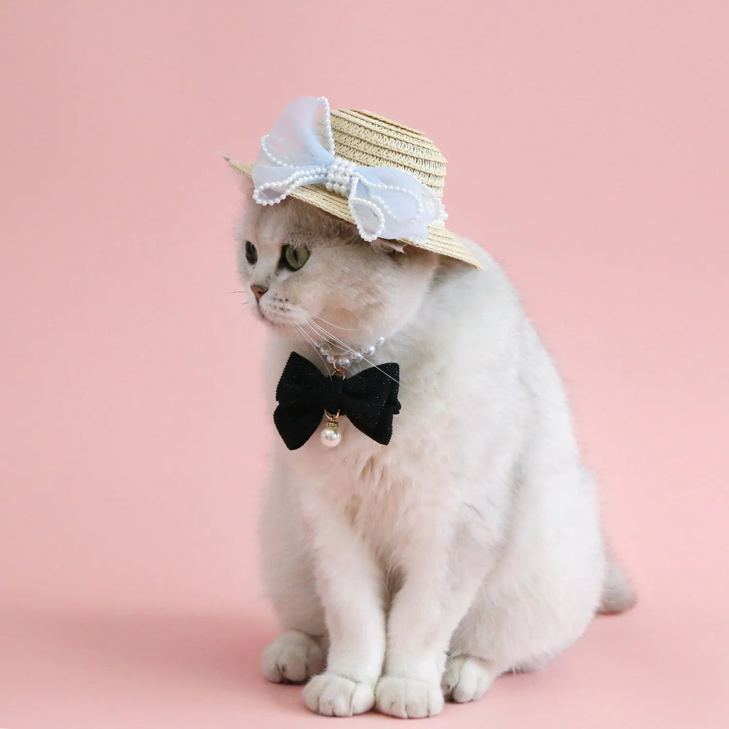 A woven Lafite leaf straw hat for a cat, decorated with a pearl butterfly bow, shown in pink, purple, blue, and white colour options.