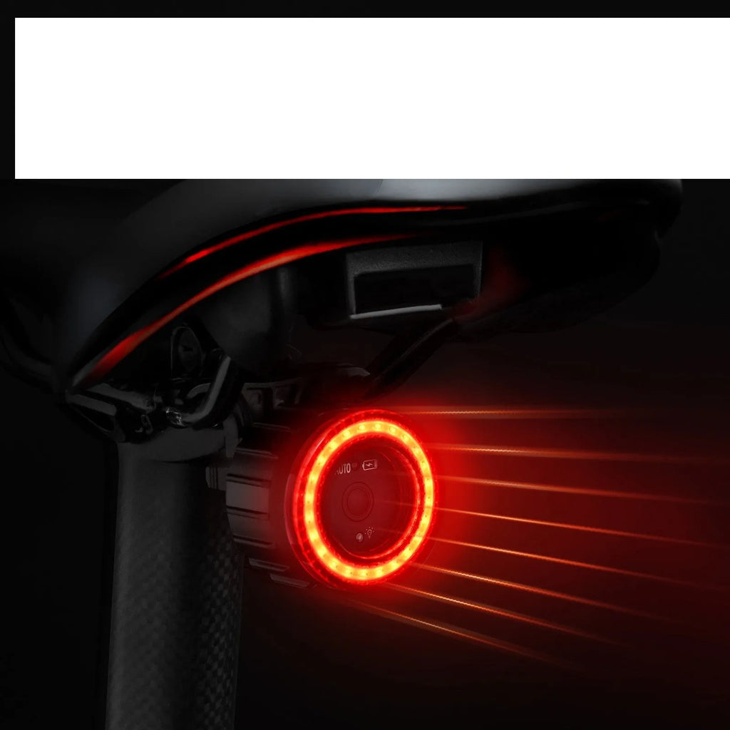 Black boxed intelligent induction brake bicycle taillight set with seat tube bracket