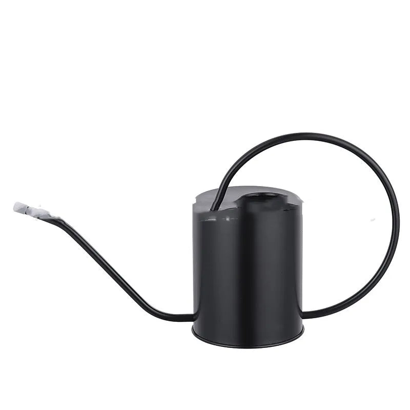 Stainless steel watering can with long spout, 2 litre capacity, shown in choice of colours