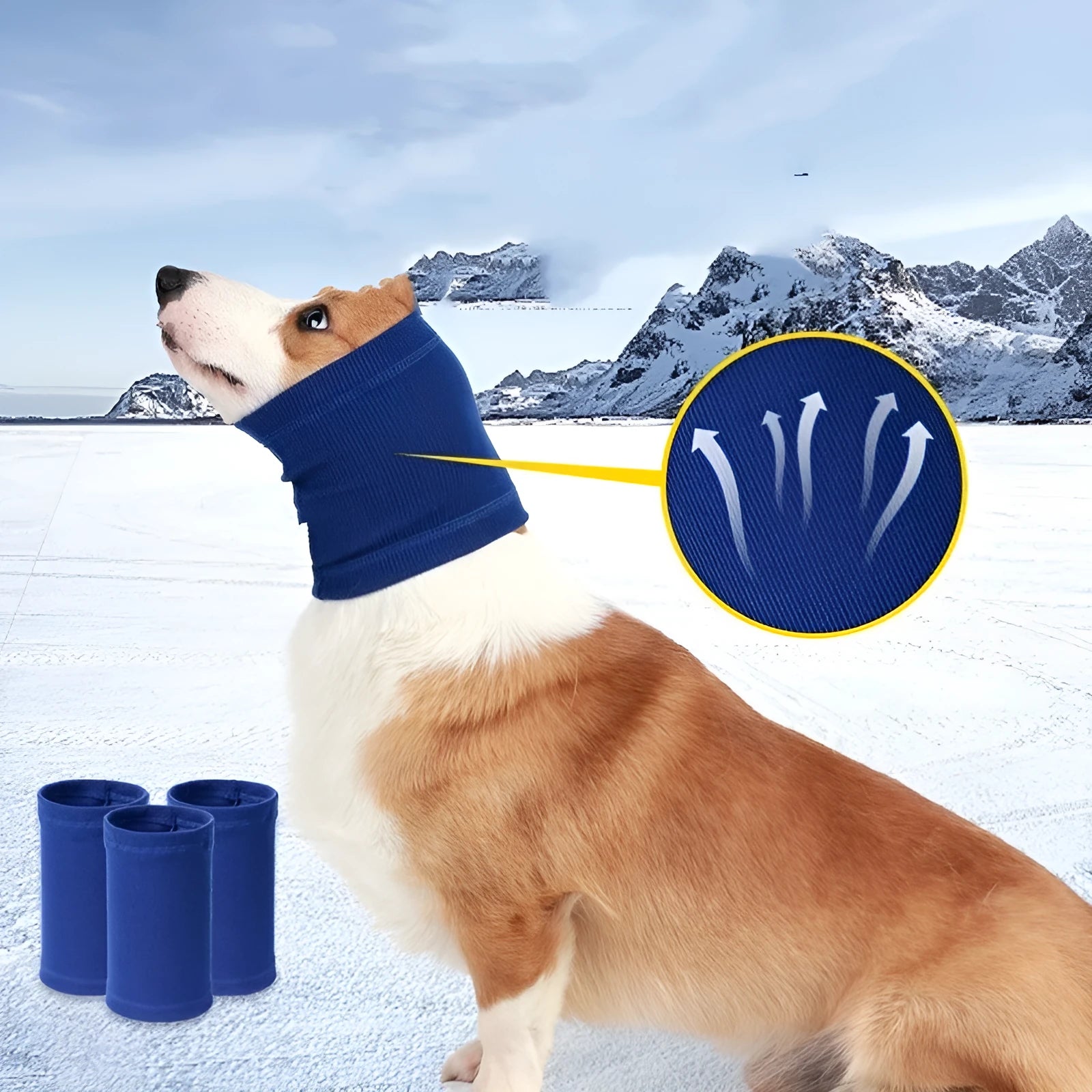 Blue adjustable polyester dog headband scarf tied around a dog's head.