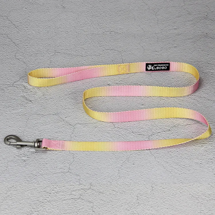 Nylon dog leash and collar set showing pink and blue gradient colour option.