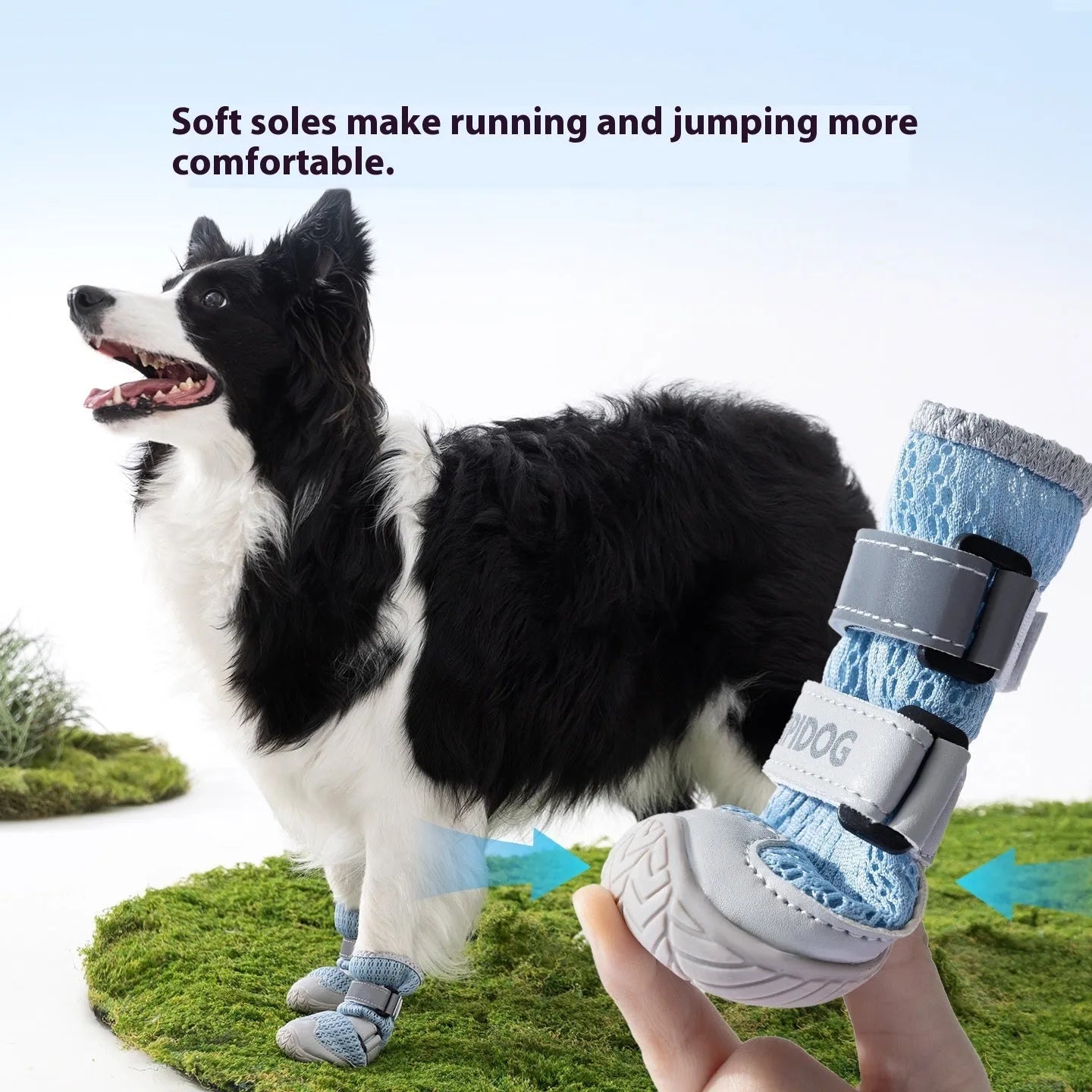 Cartoon style dog shoes in Bondi Blue colour showing breathable summer design with weight-based sizing